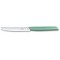Нож столовый VICTORINOX Swiss Modern, лезвие 11 см с прямой кромкой, мятно-зелёный